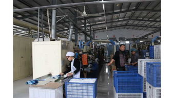 石家莊宏大衛生用品廠 專業技術服務，為您提供全方位衛生保障